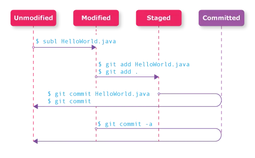 Basic Git loop